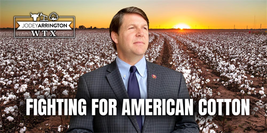 Fighting for American Cotton.png