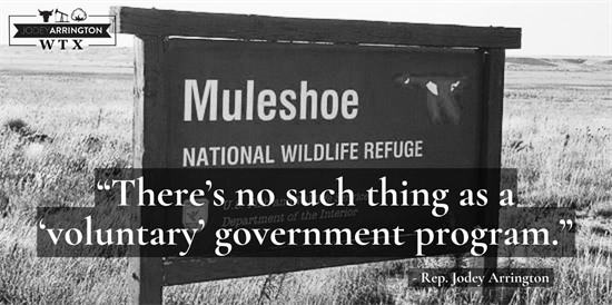 Muleshoe government program thumbnail
