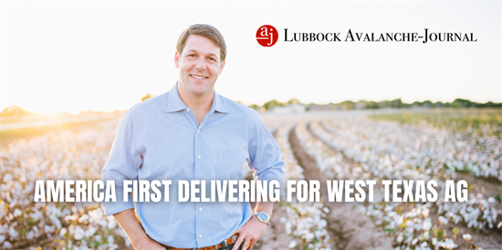 LAJ op-ed thumbnail.png