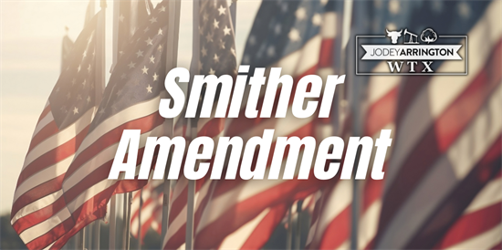 smither amendment thumbnail.png